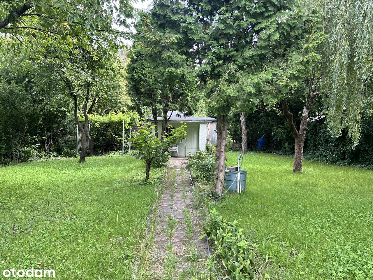 Działka ROD, Bogdanka, Pułaskiego, Sołacz, Rekreacja-1