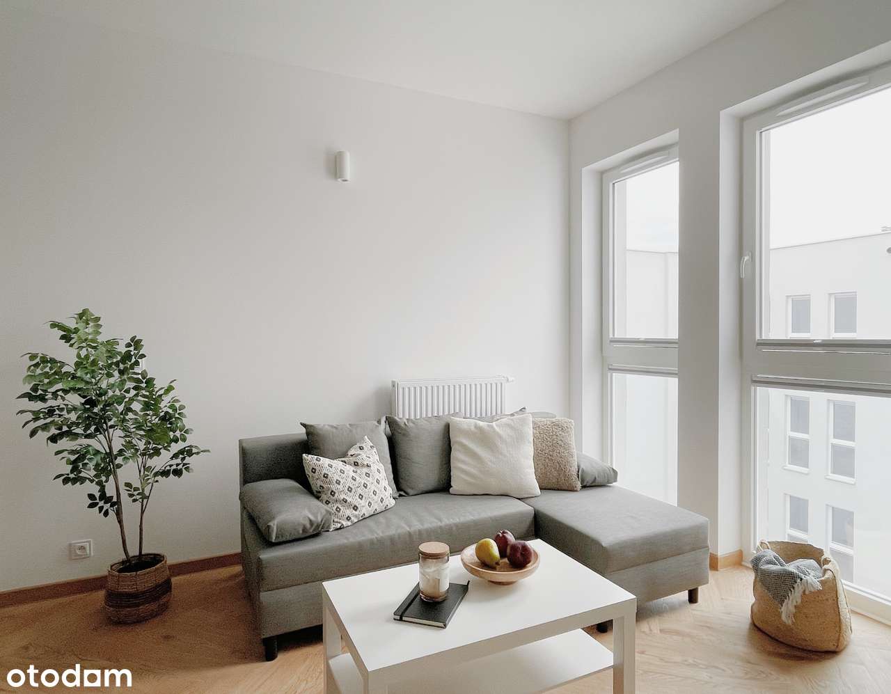 Bezpośrednio I W centrum I Zwierzęta mile widziane I HelpDesk 24H - Pełny obrazek: 3/6