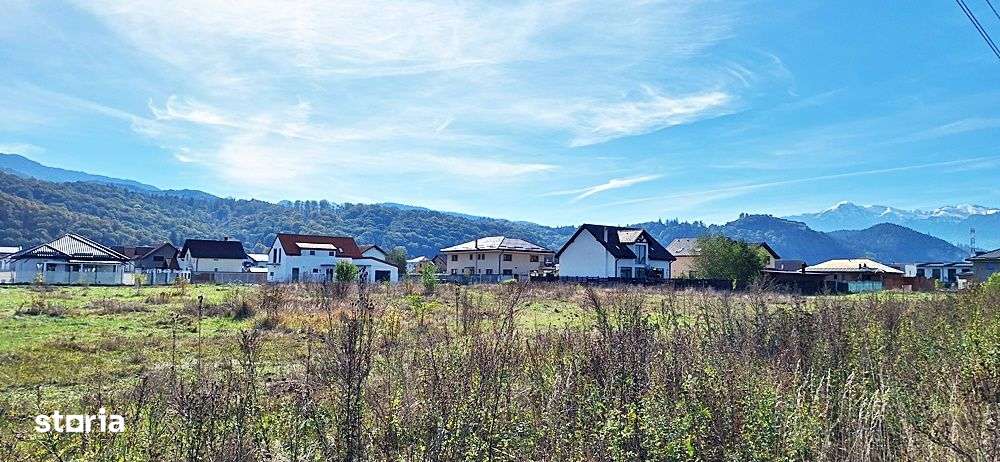 Intrare in Rasnov dinspre Brasov, zona de case noi, 1976mp, 80 euro/mp - Imagine principală: 5/15