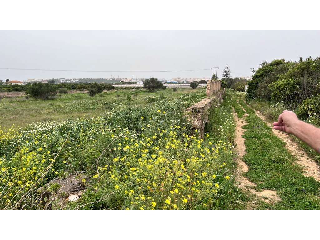 Terreno com ruína e terreno rústico, Galvana, Faro, Algarve - Grande imagem: 4/24