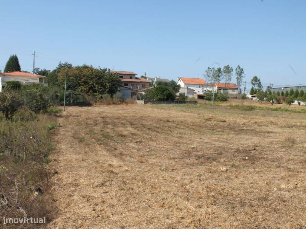 Terreno - Milagres-2