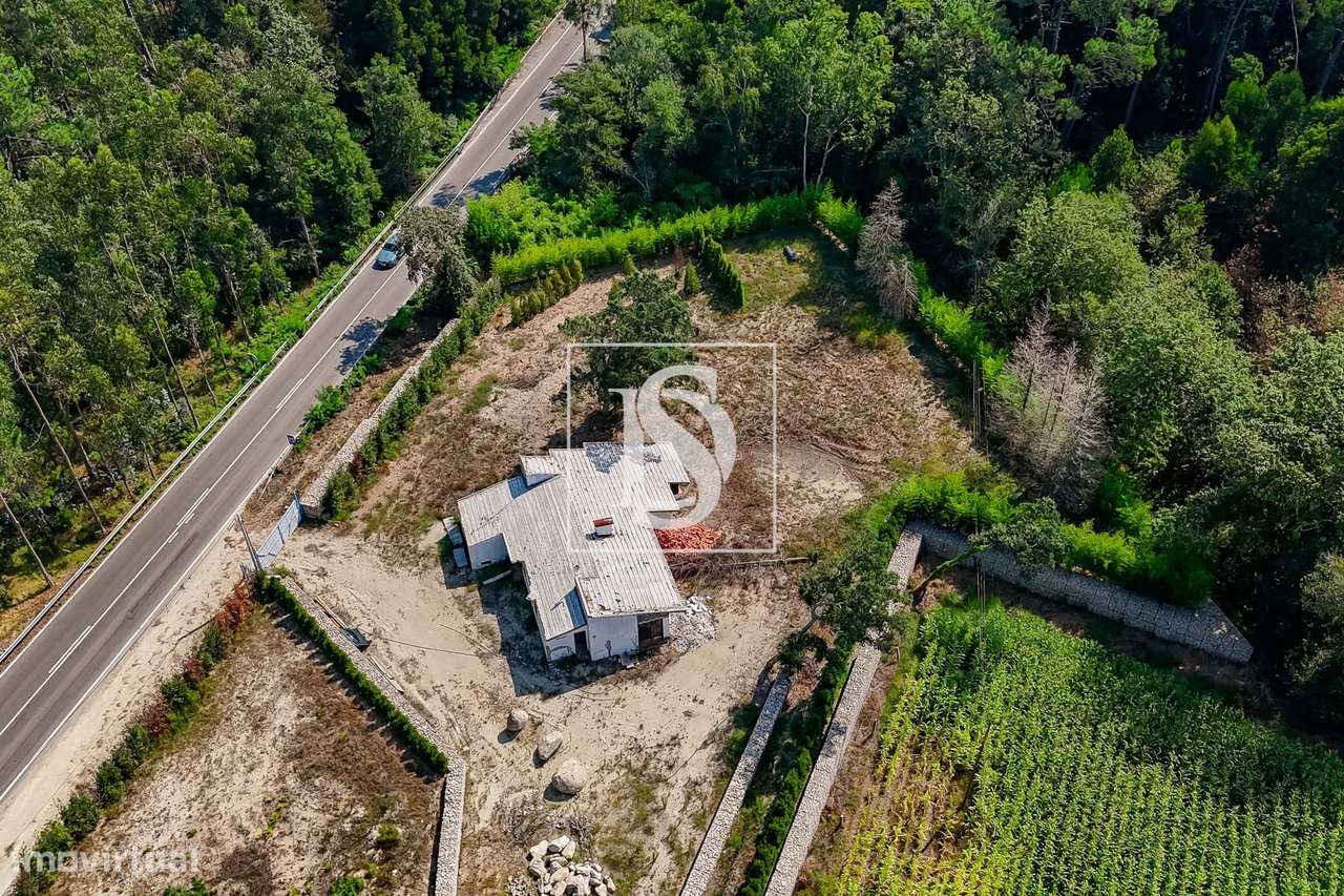 Moradia, 5 604 m², Palmeira de Faro e Curvos-8