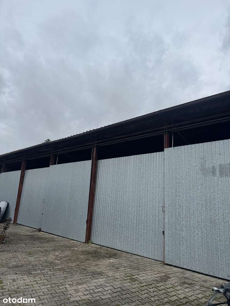 Magazyn półotwarty, 200m2, Mrowino, parking - Pełny obrazek: 1/5