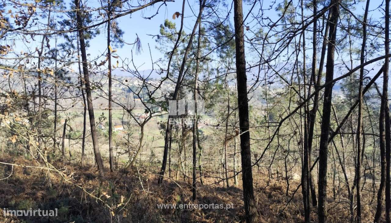 Venda Terreno, Constance, Marco de Canaveses - Grande imagem: 5/30