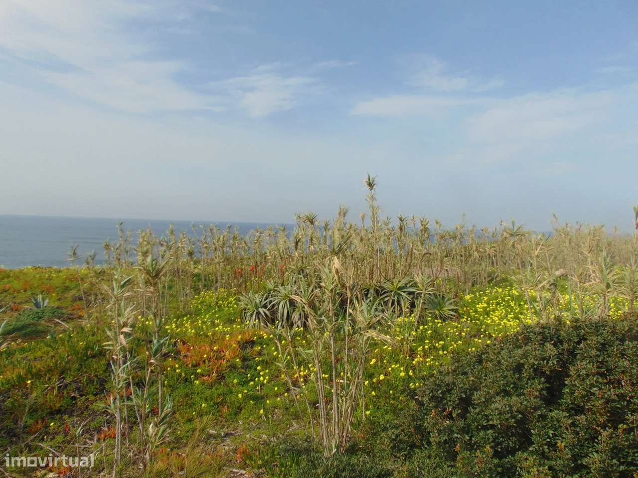 Terreno Rústico 5250m2 perto da Ericeira junto ao mar - Grande imagem: 5/14