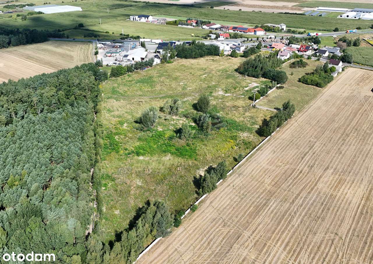 Osiedle pod lasem 800-1500m2 w Biskupicach Ołobocznych Ostrów Kalisz - Pełny obrazek: 4/7