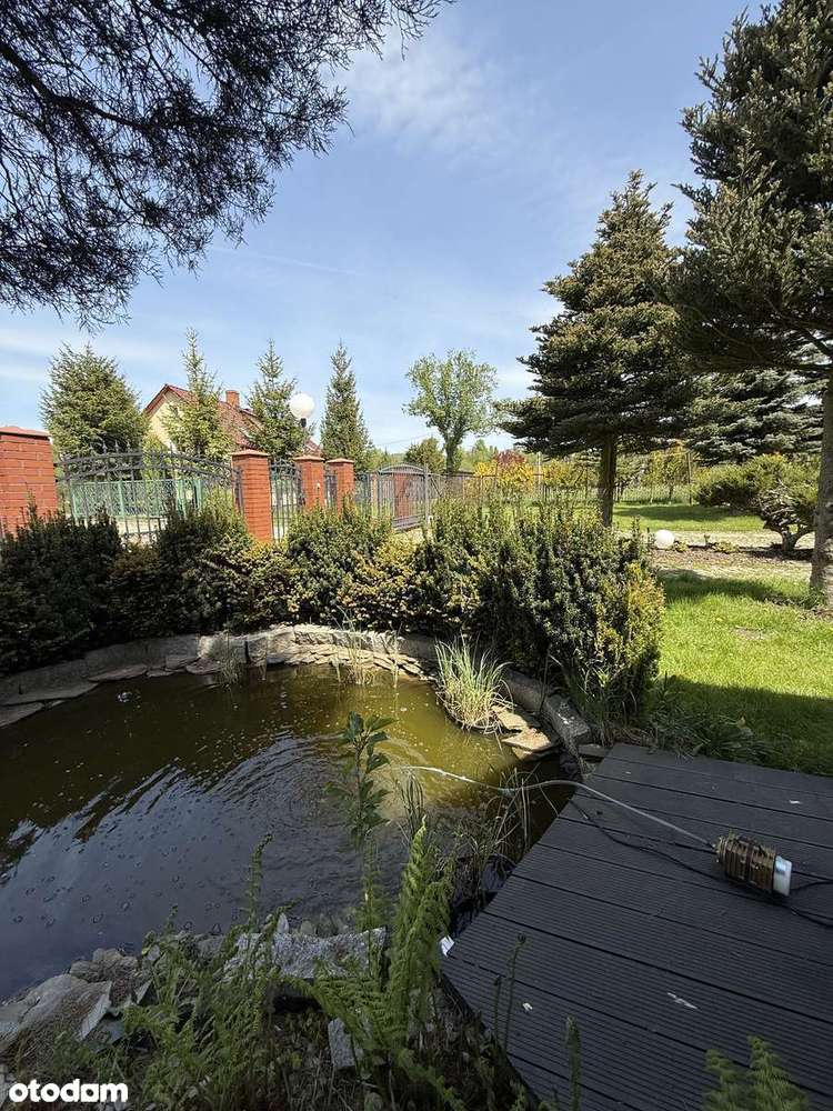 Dom wolnostojący z piękna działką we wsi Jabłów-11