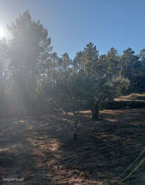 Terreno agrícola - Grande imagem: 5/12