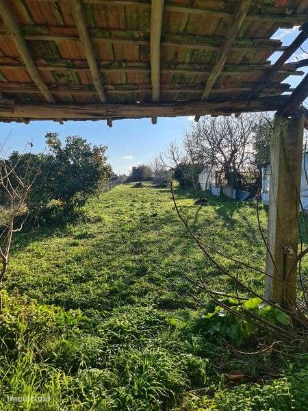 Moradia T2 para restauro - Grande imagem: 5/12