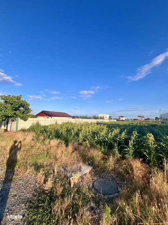 Teren de vanzare intravilan - sat Islaz Comuna Branesti - toate utilit - Imagine principală: 5/10