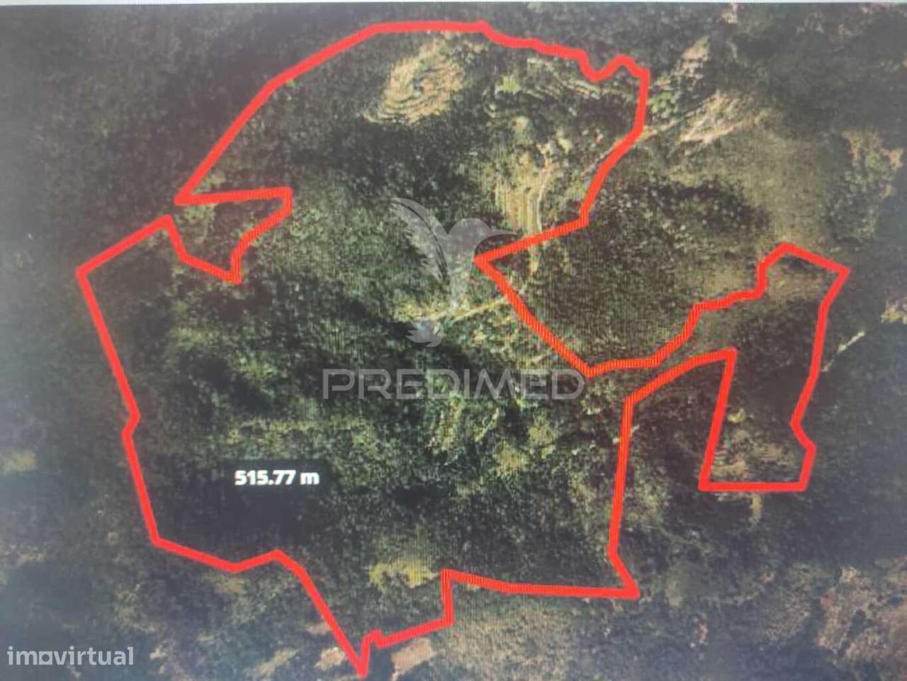 Terreno com 50 Hectares Situado no Caniçal - Grande imagem: 5/14