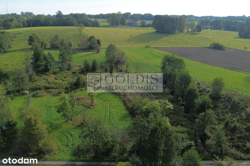 Budowlana nad rzeką w Olszance - Pełny obrazek: 2/9