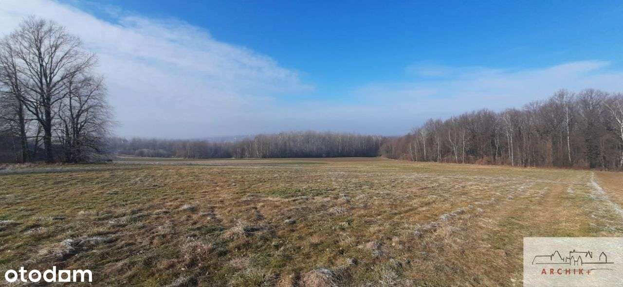 Zawada 60 arów ( ew. 1.20 ha), dojazd, rol-bud - Pełny obrazek: 5/14