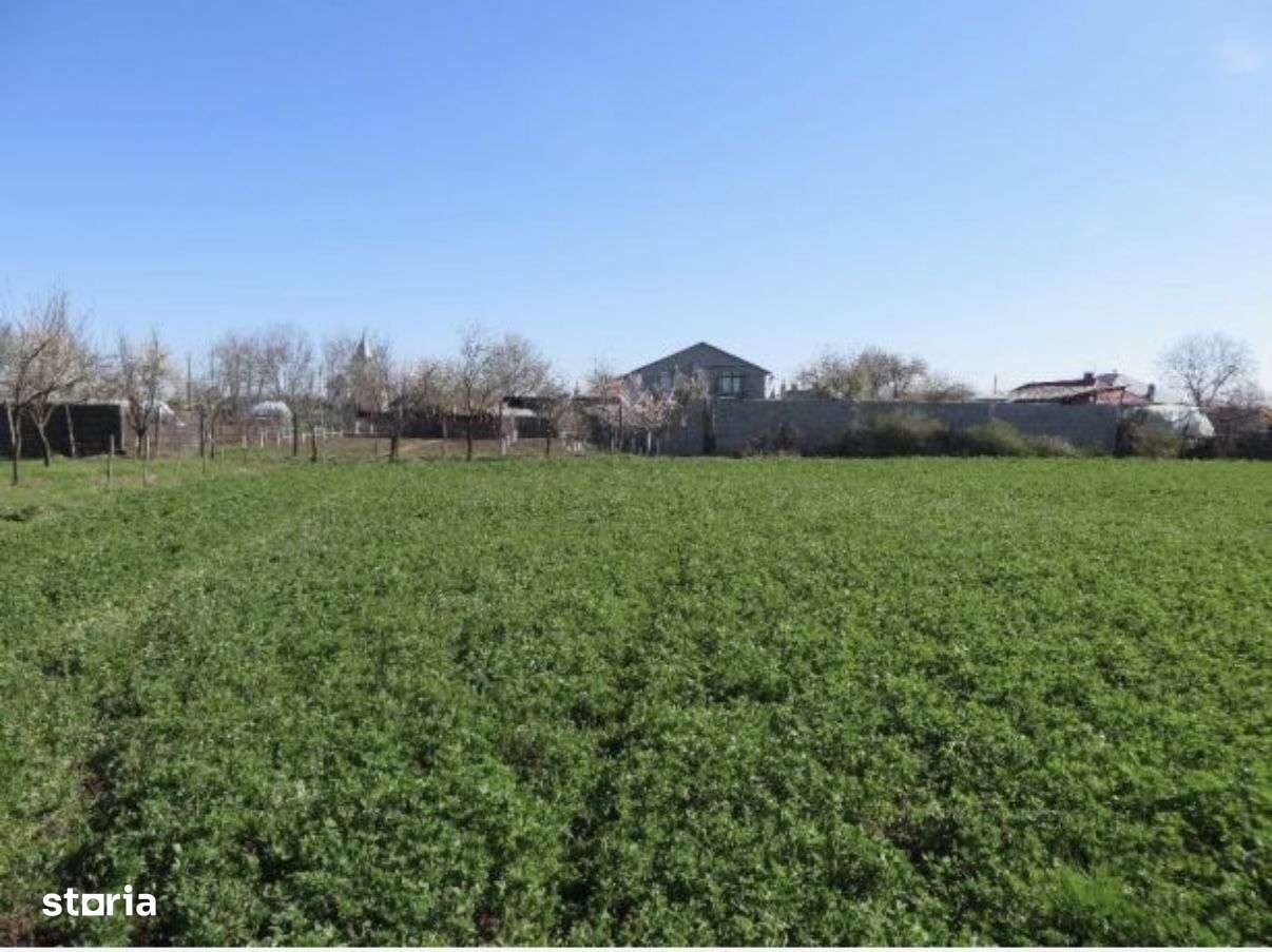 Teren de vânzare în zona Lacul Sărat - Imagine principală: 3/6