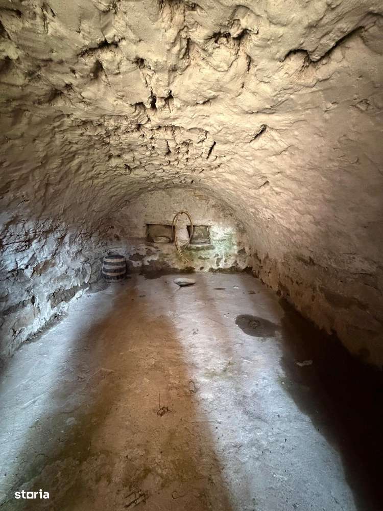 Comision 0% I Casa individuala I Teren de 3252 mp I Arghis-18