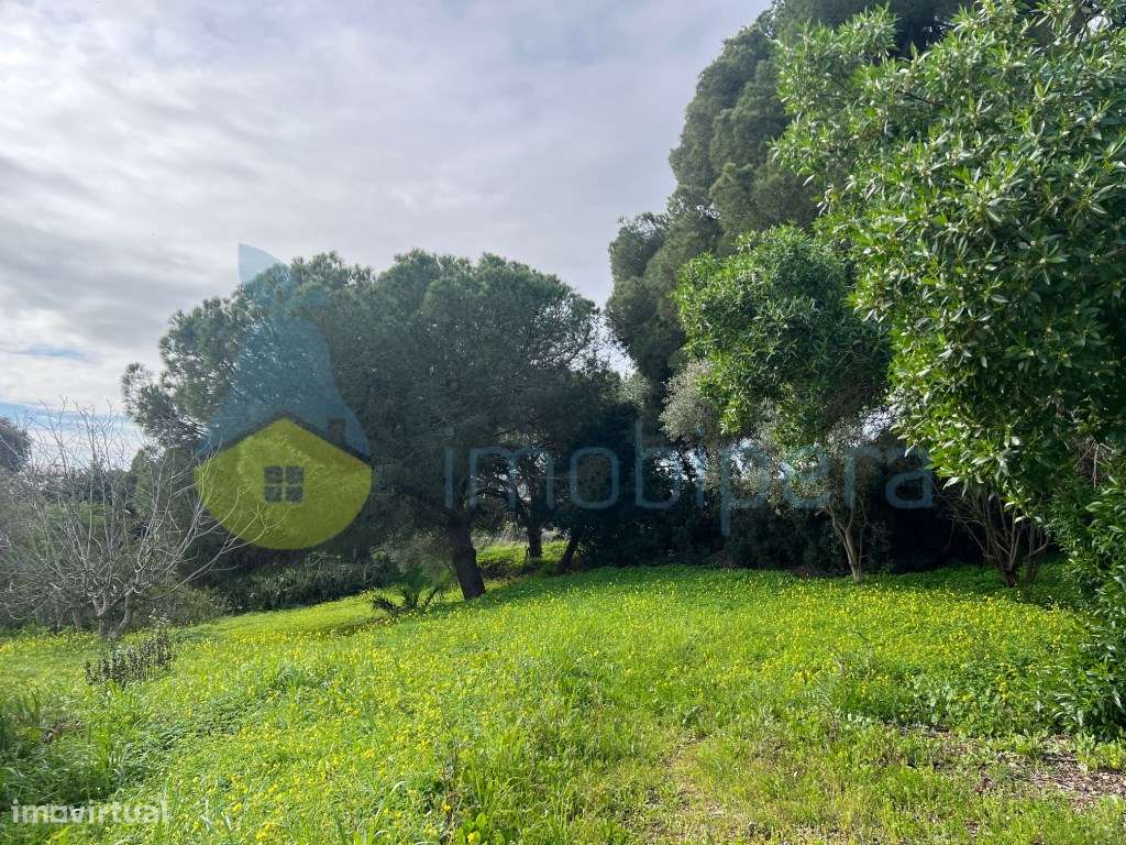 LOTE EXCLUSIVO PARA MORADIA DE SONHO COM PISCINA NA QUINTA DOS BARR...-0