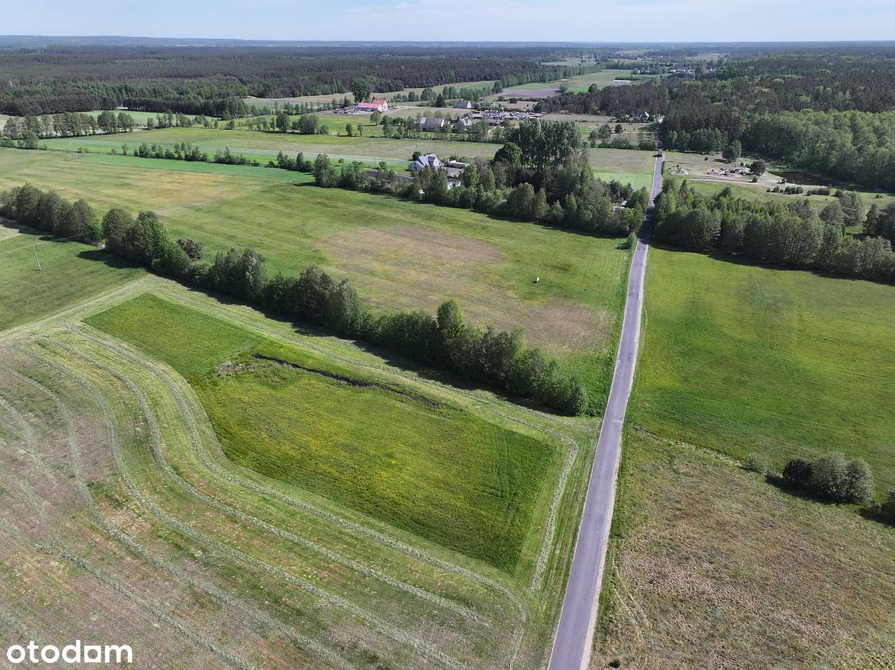 Działka Rąpin las jeziora Puszcza Notecka - Pełny obrazek: 5/14