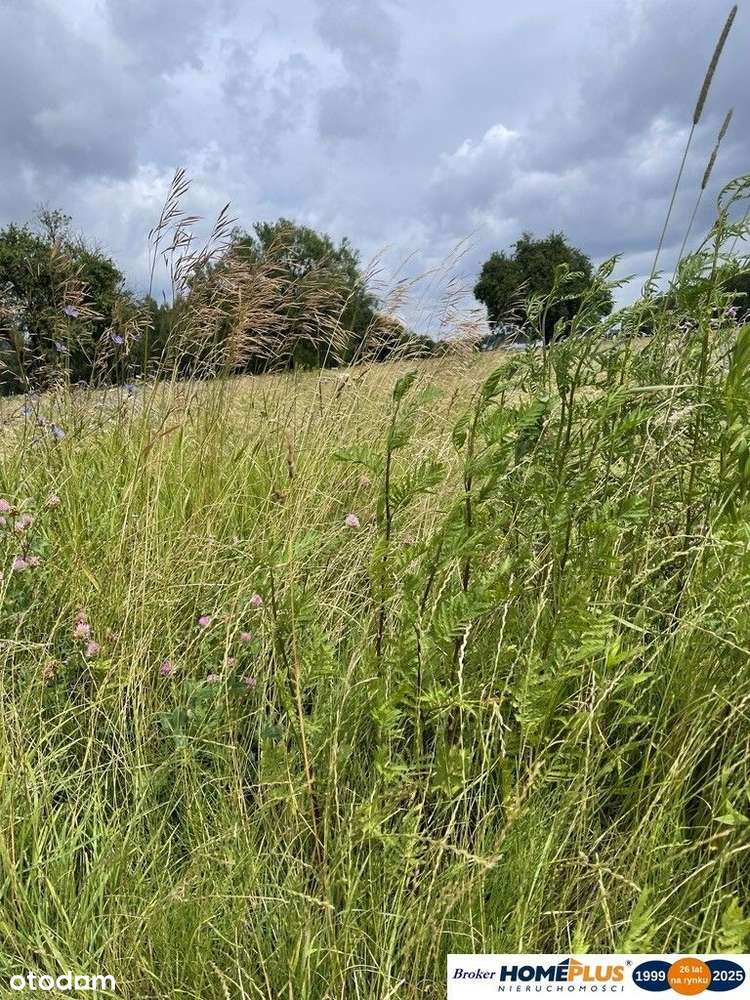 Działka 10 244 m² zabudowa mieszkaniowa i usługi - Pełny obrazek: 5/6