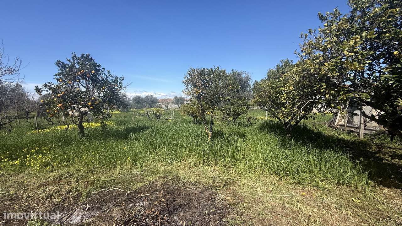 Moradia Isolada com Terreno Amplo em Parceiros da Igreja, torres novas-30