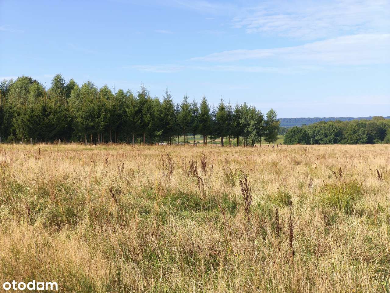 Z dala od spojrzeń sąsiadów-11