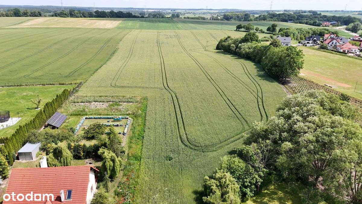 Duża działka rolna – 4,5 ha | Smętowo Graniczne - Pełny obrazek: 3/18