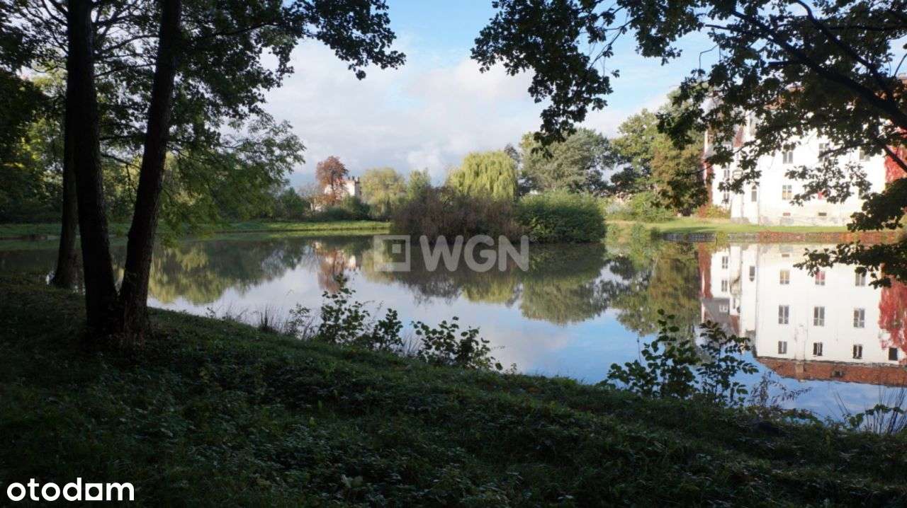 20ha Unikat -Pałac 3'500m2 z pięknym jeziorem 7ha - Pełny obrazek: 3/20