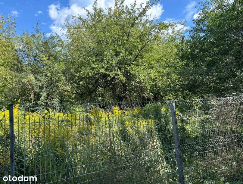 Działka budowlana w mieście z dostępem do mediów - Pełny obrazek: 4/10