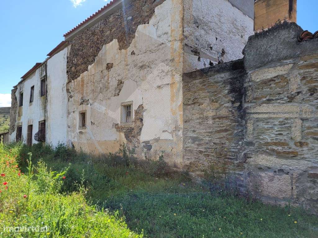 QUINTA COM VINHA - FIGUEIRA DE CASTELO RODRIGO-18