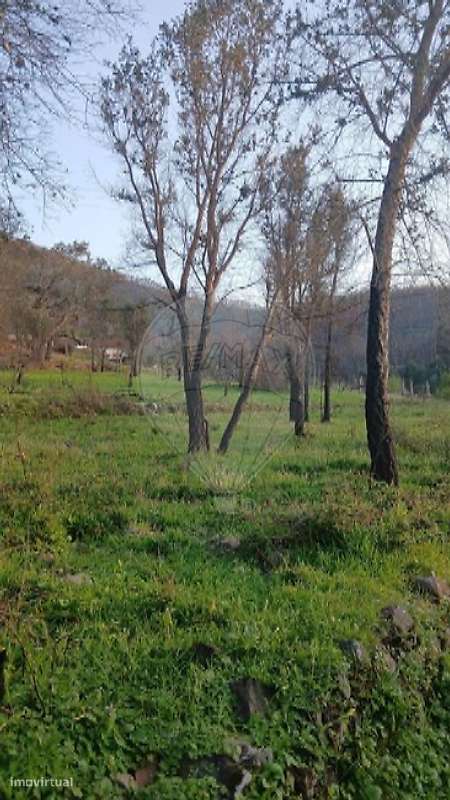 Terreno  para venda - Grande imagem: 5/8