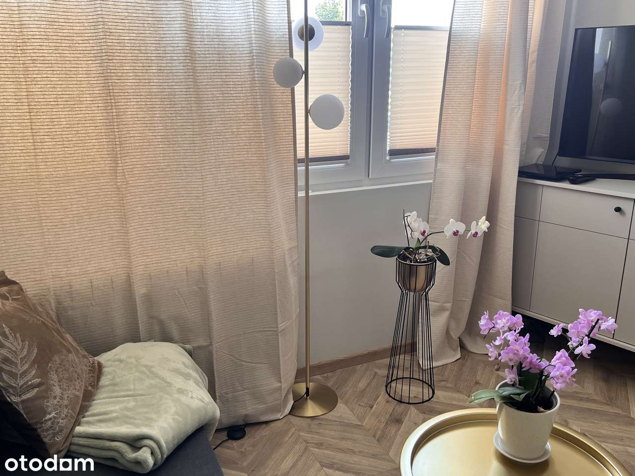 Kawalerka na wynajem na Starym Mieście. - Pełny obrazek: 4/14