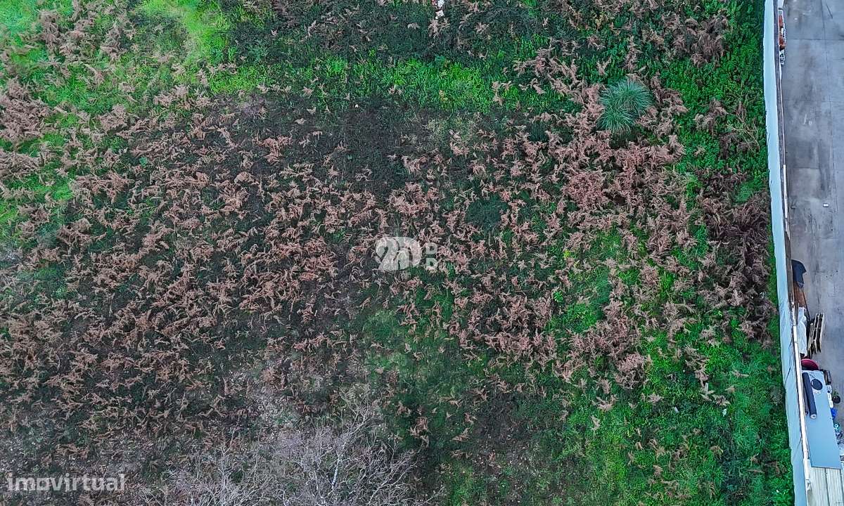 Lote de terreno 573,25m² - Cavalões - Grande imagem: 4/10