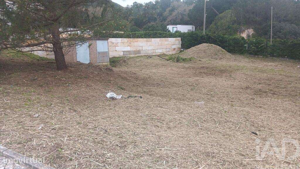 Terreno para construção em Tornada e Salir do Porto de 636,00 m2 - Grande imagem: 4/5