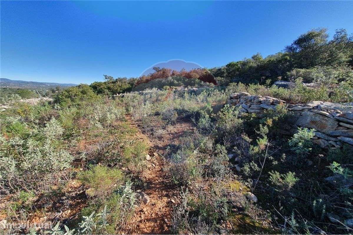 Terreno  para venda - Grande imagem: 3/5