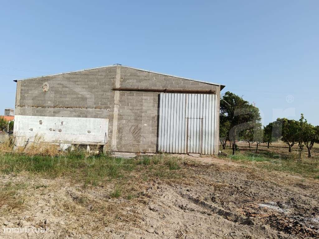 Terreno Urbano com 3.893 m², com Armazém com 288 m² - Benavente-8