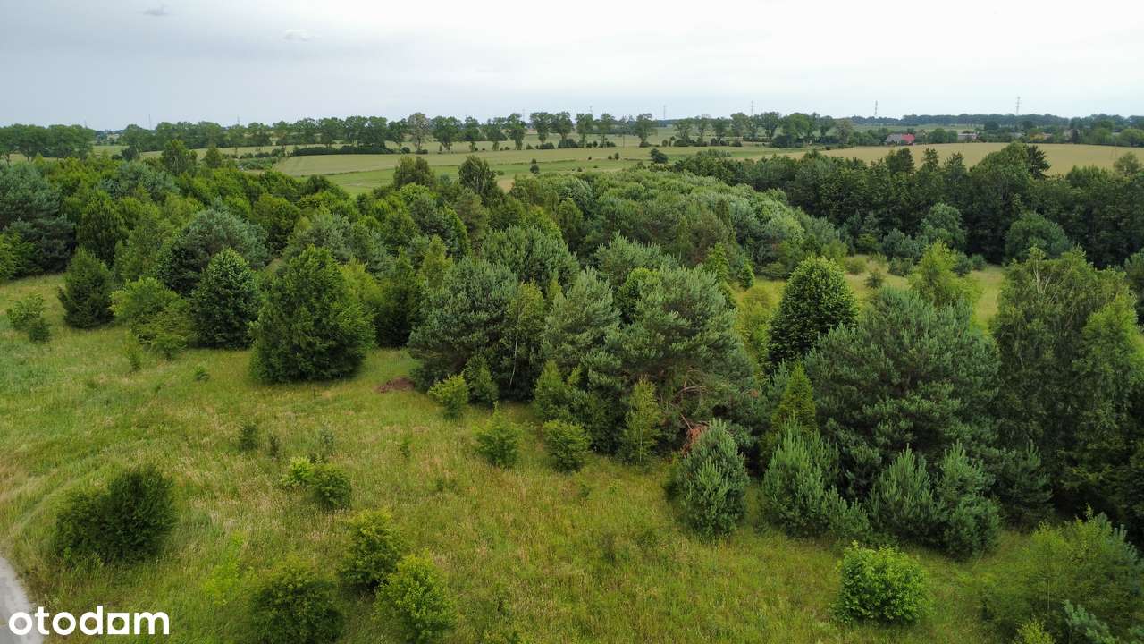 Malownicza działka pod zabudowę mieszkaniową-12