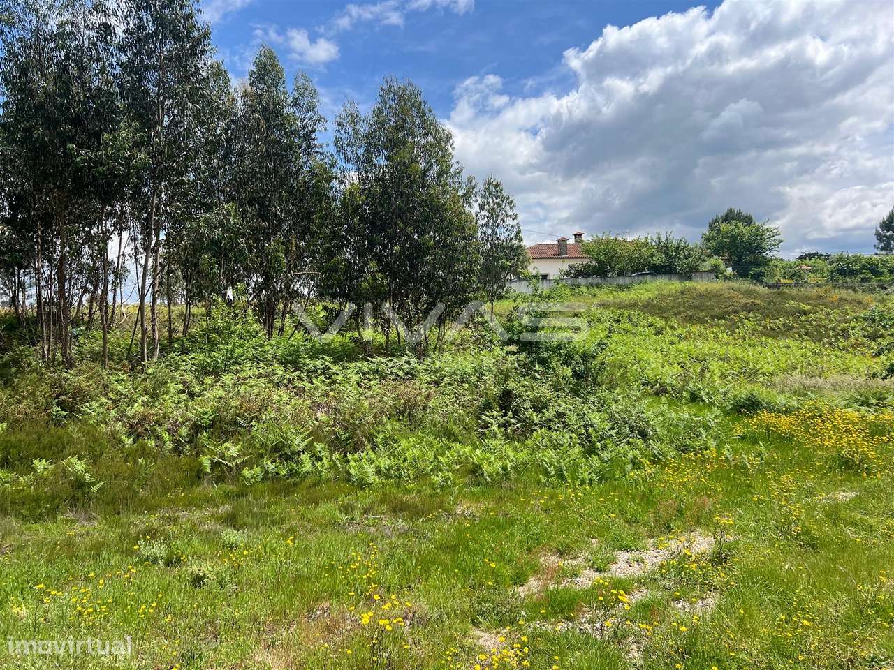 Terreno Para Construção  Venda em Arnóia,Celorico de Basto - Grande imagem: 5/12