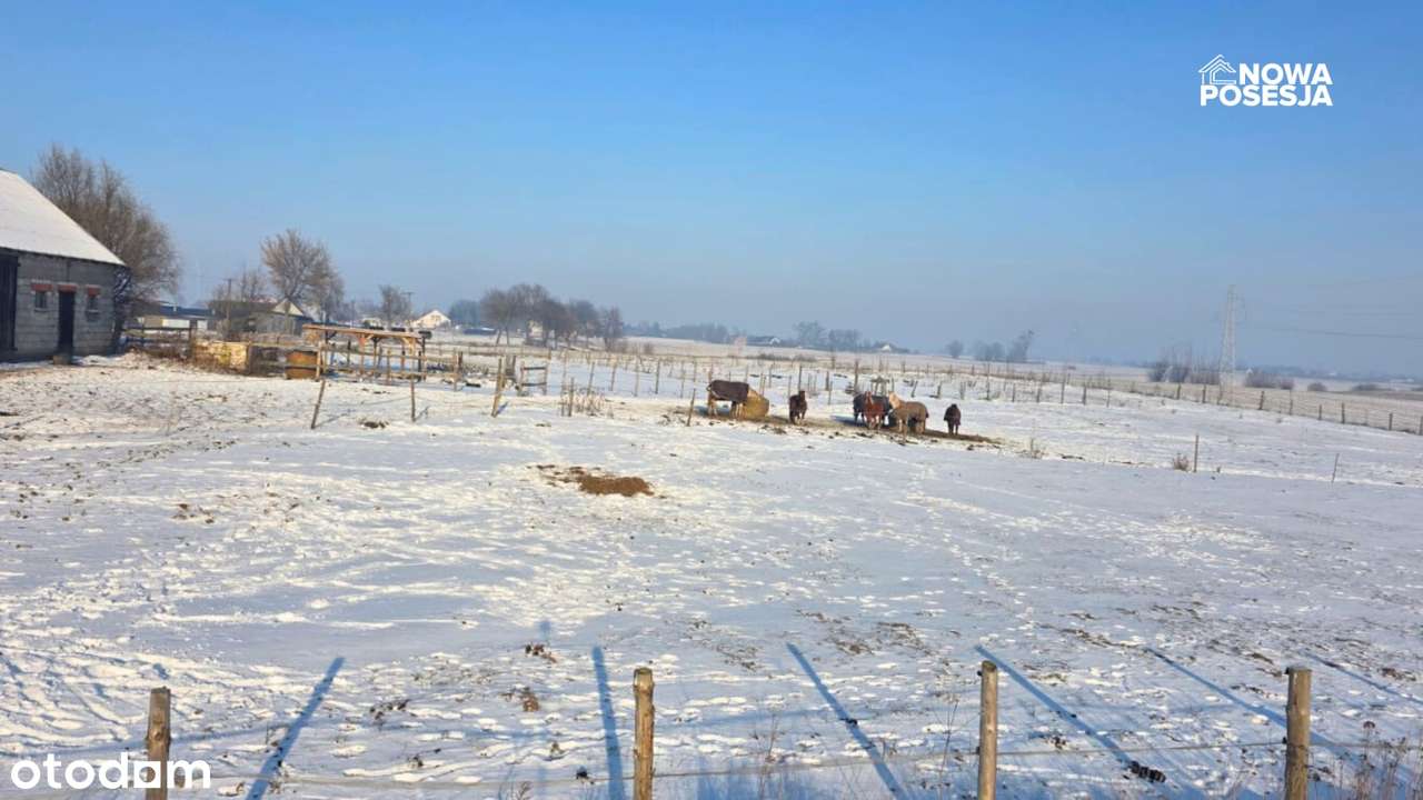 Dom, duża działka, stajnia-2