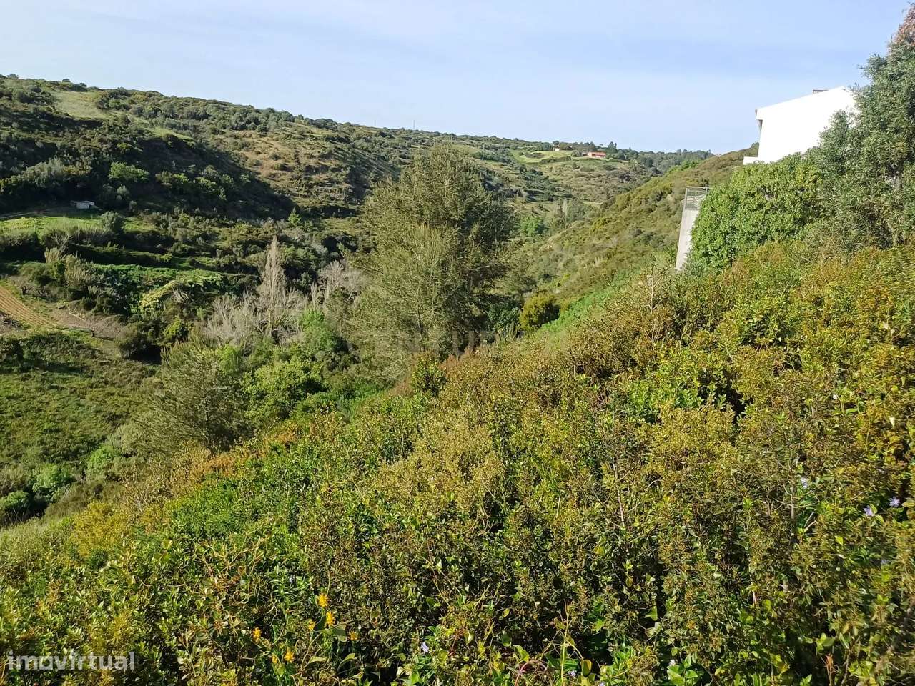 Terreno rustico no Carvalhal com 1800 m2 - Grande imagem: 5/7