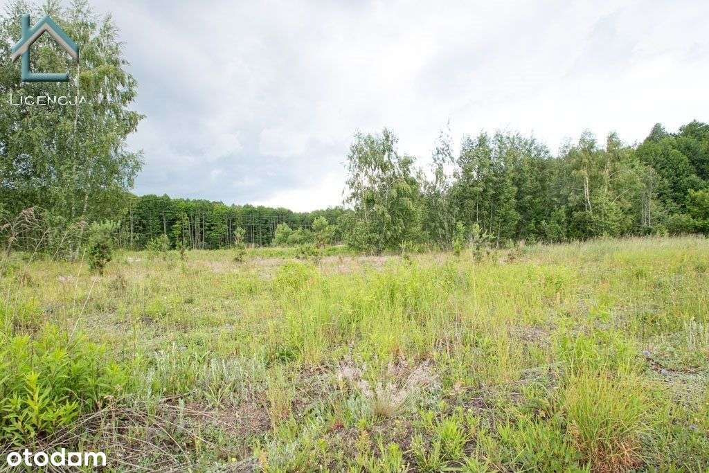 Działka przy ul. Ceglanej w Nowodworcach, Wz-2