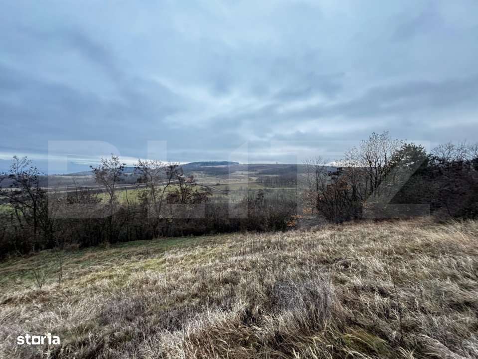 Teren extravilan 4300 mp, zona Criseni - Paclisa - Imagine principală: 5/6