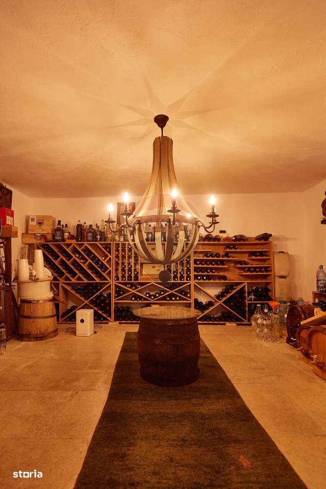 Casa / Vila cu 4 camere de vanzare la doar 30 de minute de Cluj-14