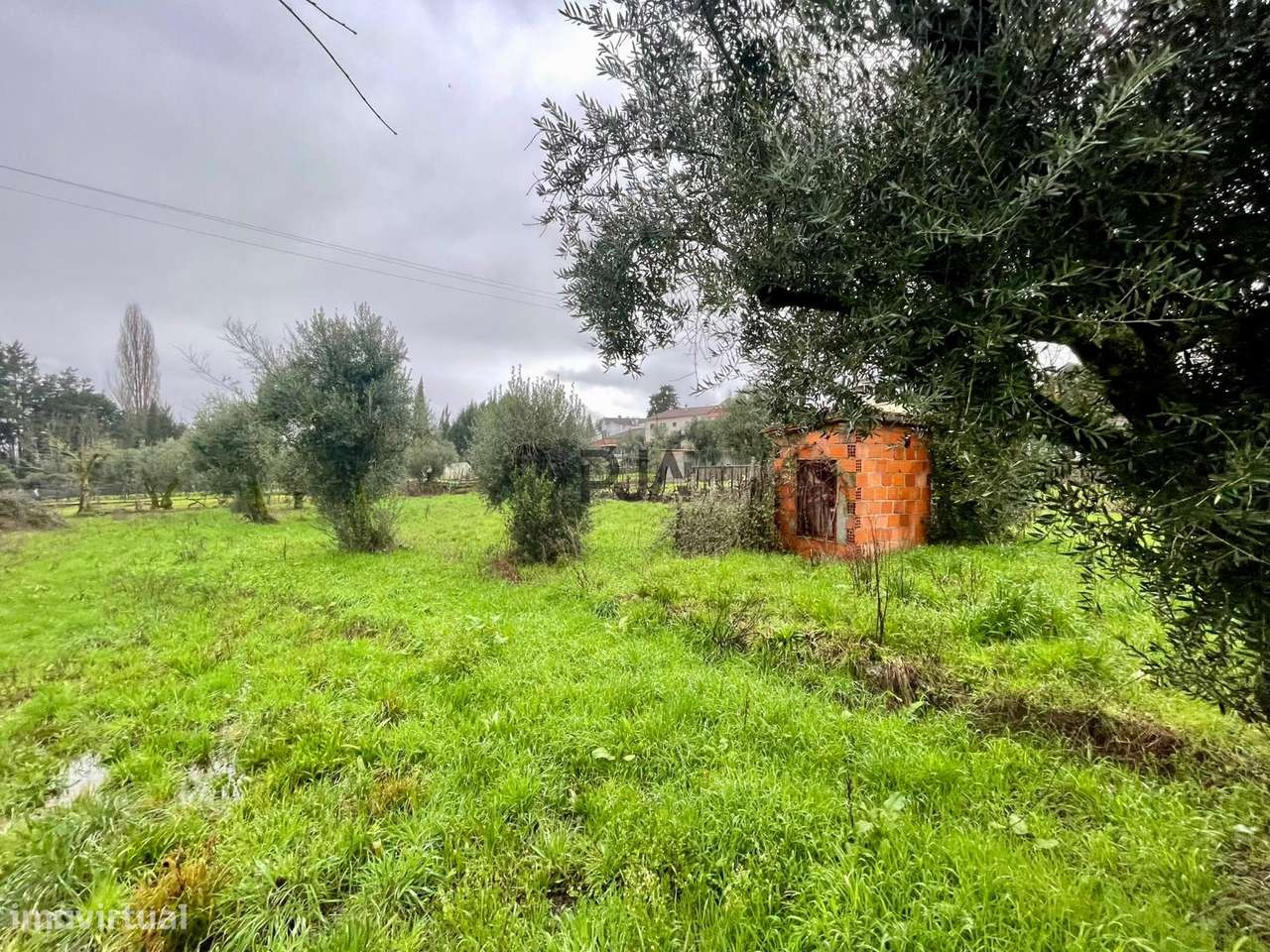 Terreno Rústico  Venda em Santar e Moreira,Nelas - Grande imagem: 4/6