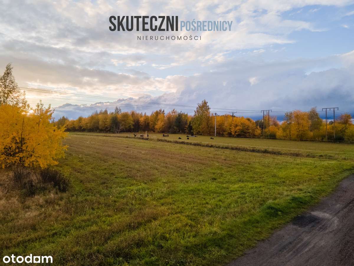 Działka inwestycyjna w Koluszkach-9