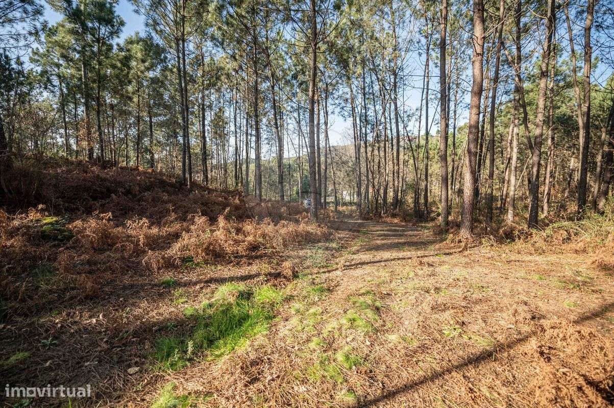 Terreno  para venda - Grande imagem: 5/8