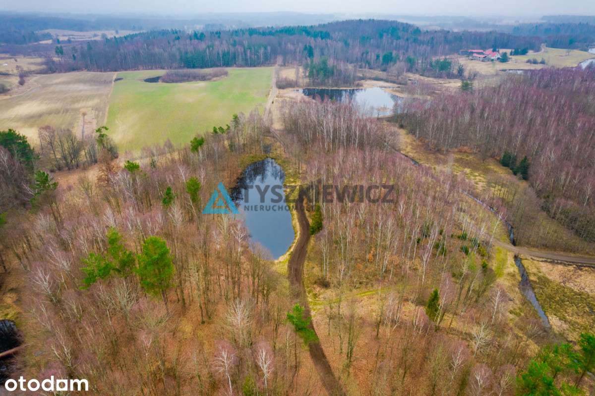 Urokliwa działka z malowniczym stawem - Pełny obrazek: 5/7