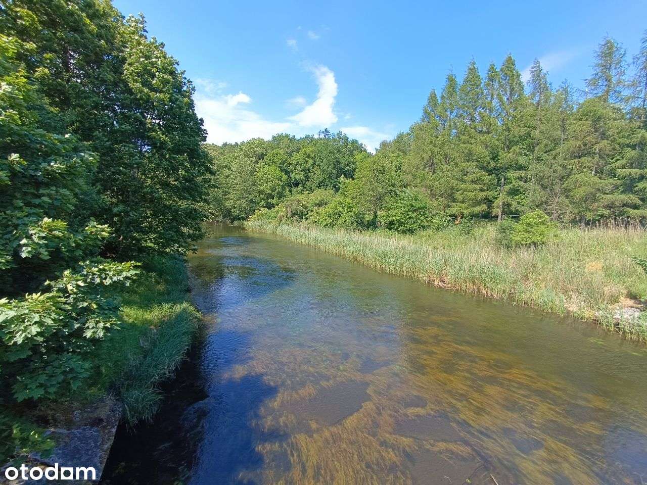 Działka rolna nad rzeką Brda - Pełny obrazek: 4/10