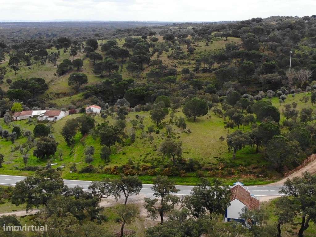 QUINTA COM 5HA DE TERRENO COM 500M2 URBANO - GALVEIAS - PONTE DE SOR-24