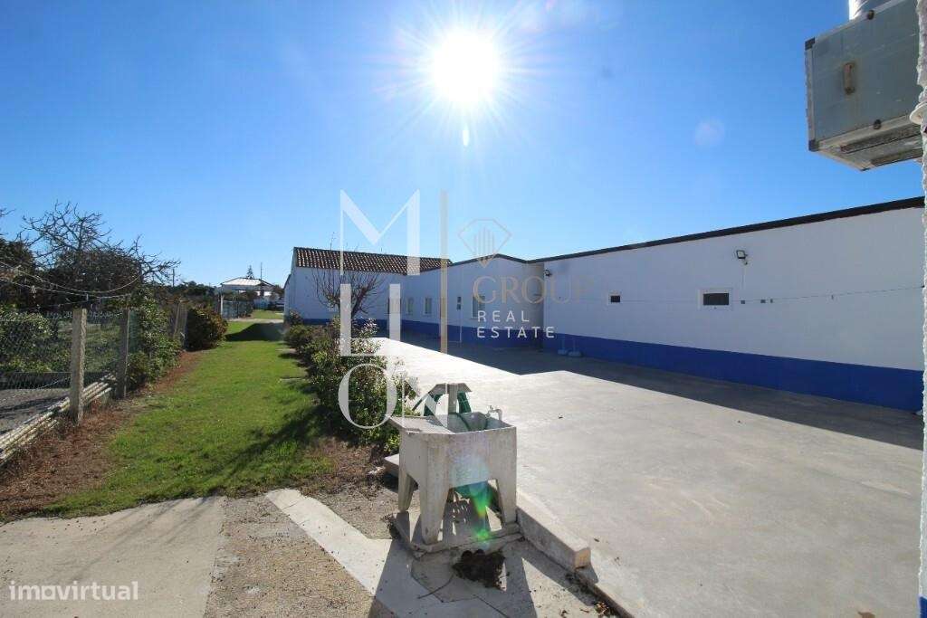 Entre a Ria e o Mar – Hostel com Vista Panorâmica na Gafanha Boa Hora - Grande imagem: 5/41