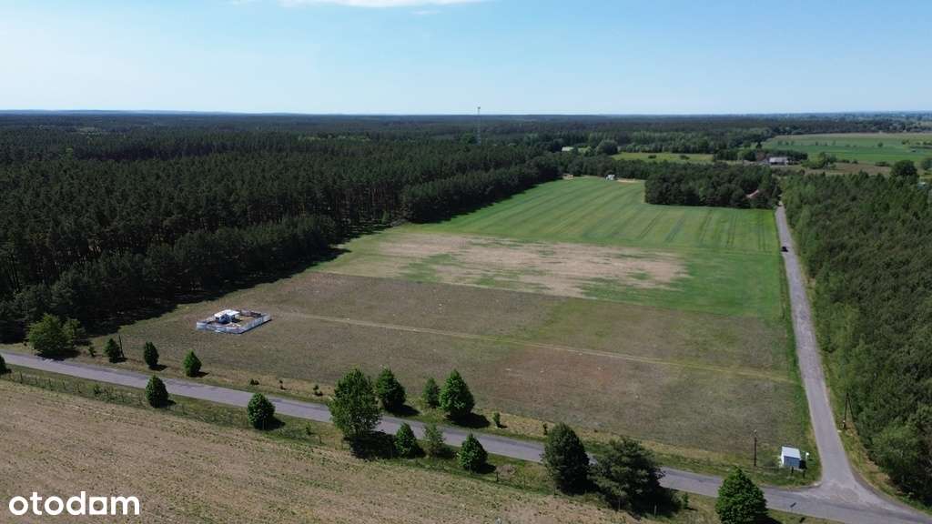 16/17696/OGS - Pełny obrazek: 5/7