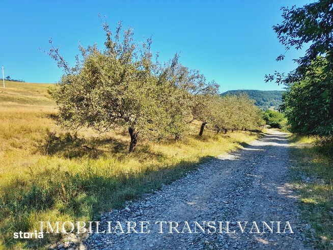 Teren extravilan, Dealul Targului, Bistrita-0